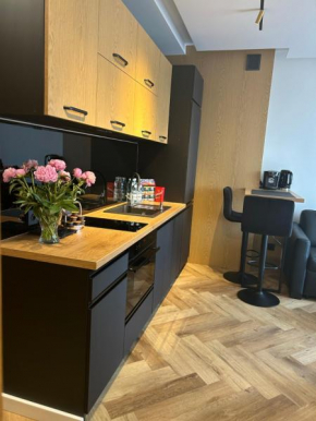 Business Apartment Płock